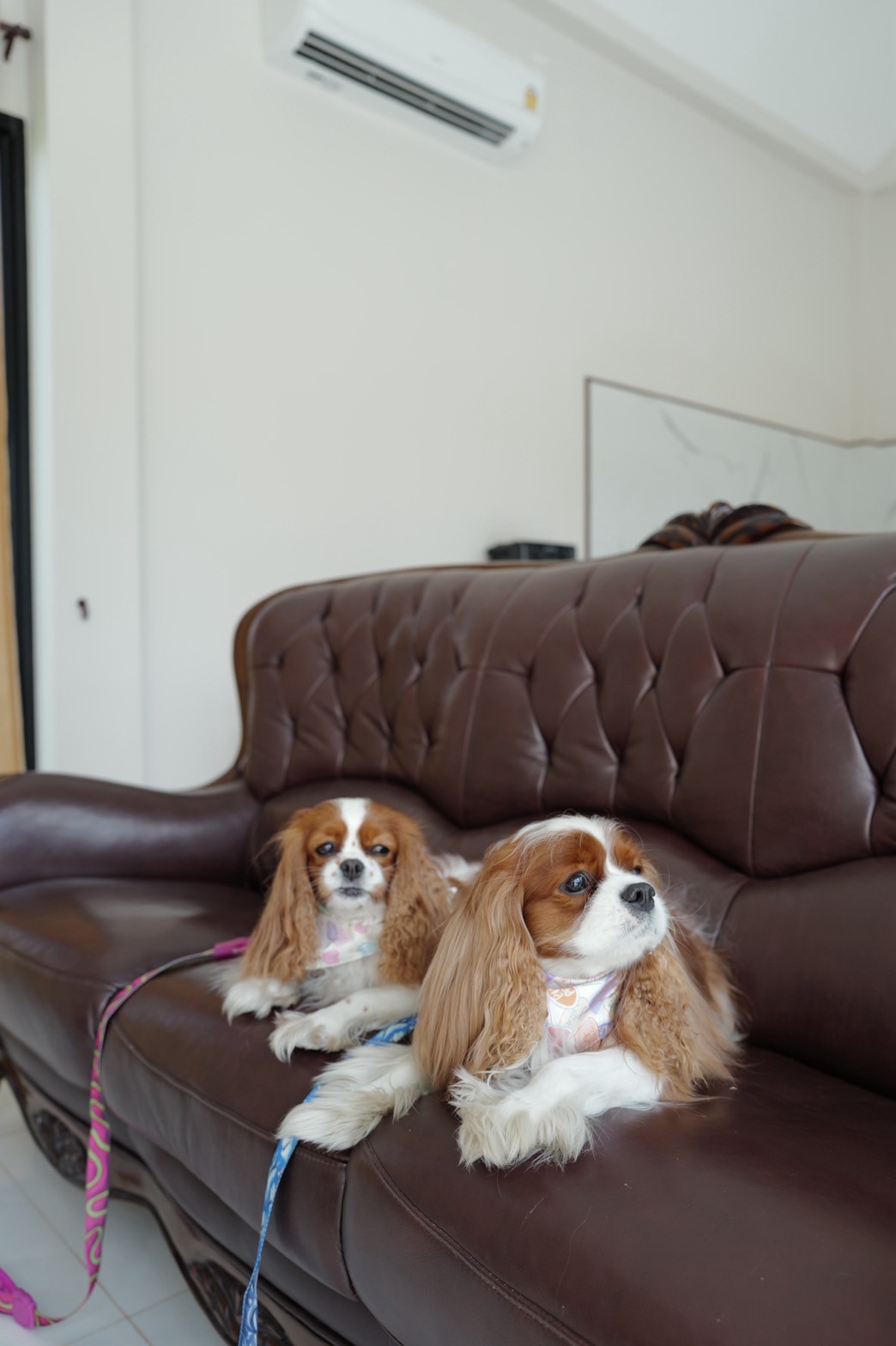 รูปภาพห้องพัก